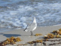 DSCN4022.JPG