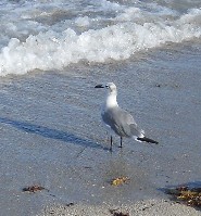 DSCN4035.JPG