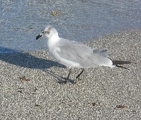 DSCN4036.JPG