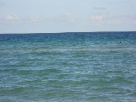 DSCN4037.JPG