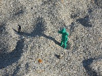 DSCN4047.JPG