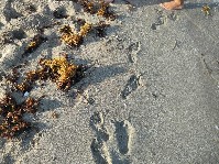 DSCN4049.JPG